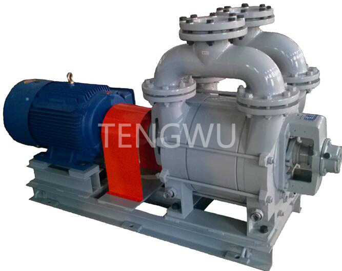 2BE1 202水環(huán)式真空泵